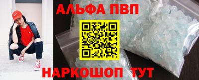 индика Кингисепп