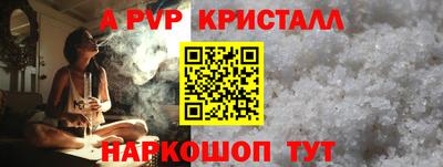 индика Кингисепп