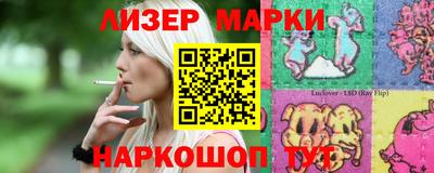 индика Кингисепп