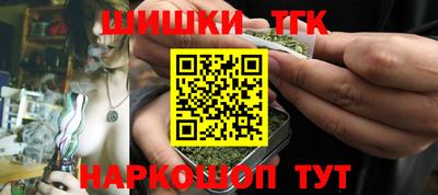индика Кингисепп