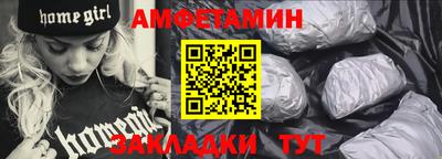 индика Кингисепп