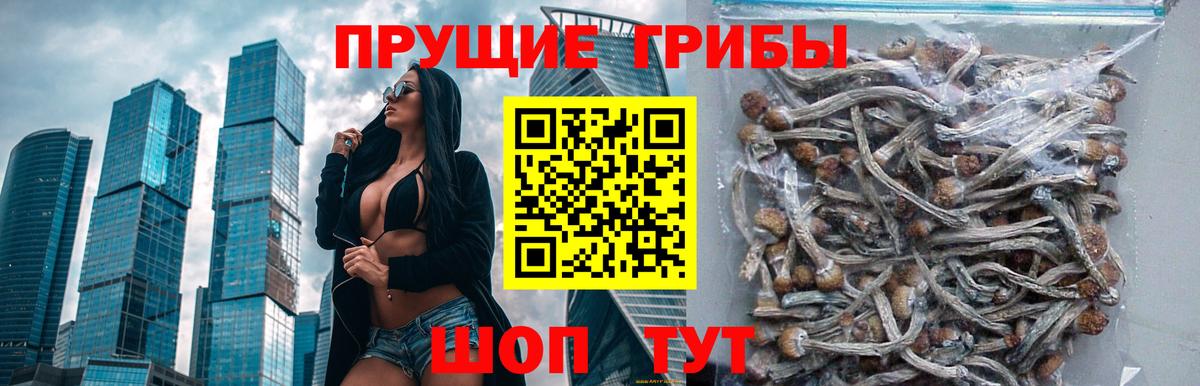 наркота  Вход с VPN  Шебекино  Галлюциногенные грибы MAGIC MUSHROOMS 